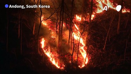South Korea's largest wildfires tear through mountains