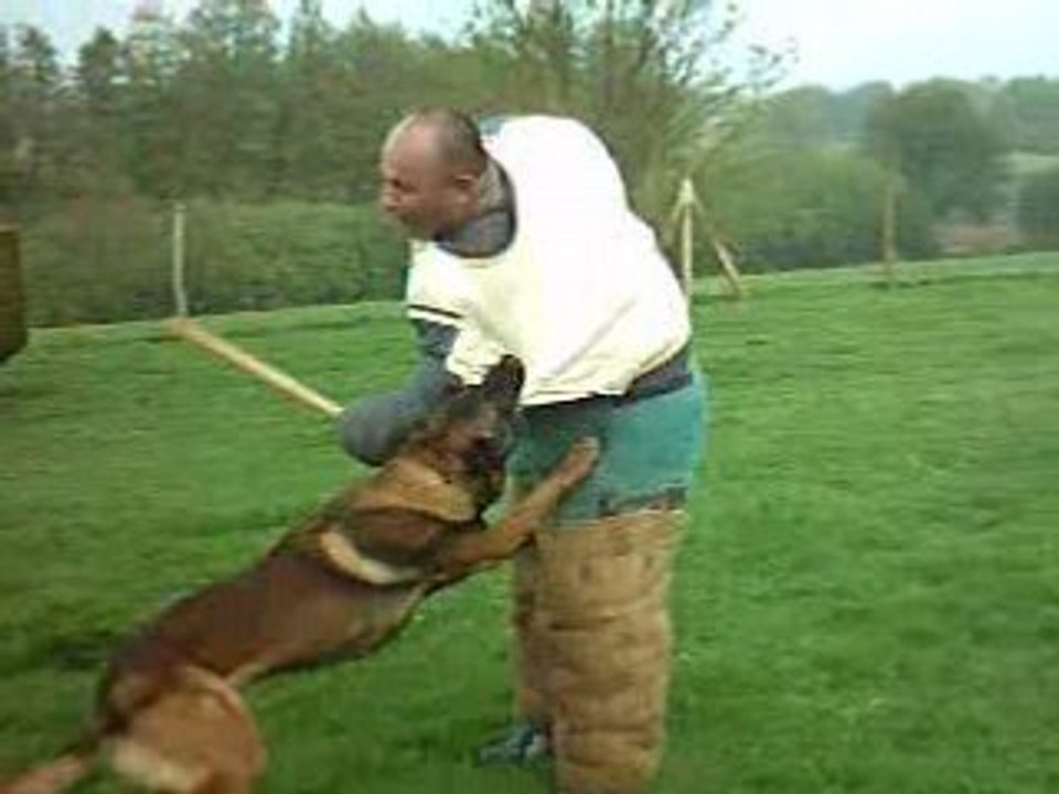 vick en entrainement ring en mai 08