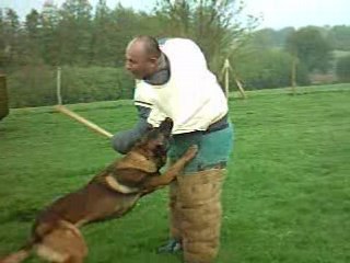 vick en entrainement ring en mai 08