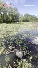 La contaminación del Río Tunal aumenta y no se encuentra una solución