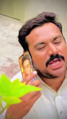 Fun,, Entertainment And Comedy