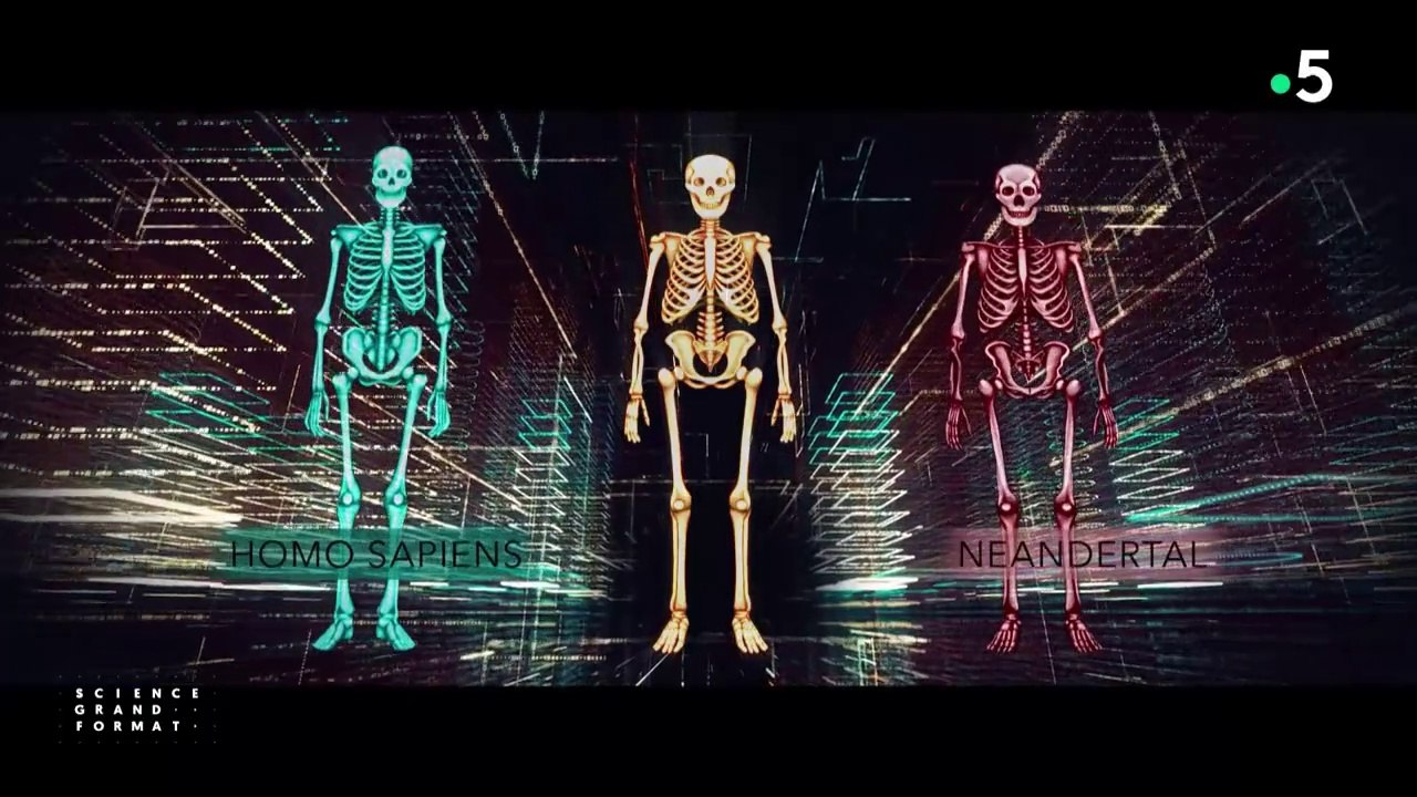 Science grand format - Le mystère de l'homme de Denisova