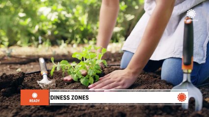 What planting zone do you live in?