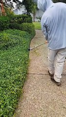 String edging Asiatic Jasmine ground cover 😌🔥#lawncare #satisfying #reels #instagood #lawnedging #connerlawnandmaintenance #foryou