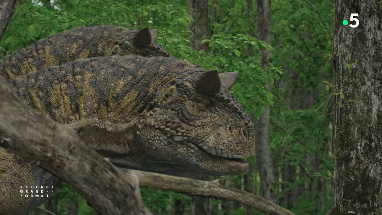 Science grand format - L'autre monde des dinosaures
