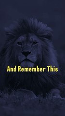 Mindset Motivation & Inspirational Quote