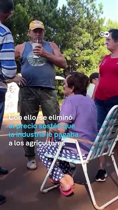 Hay crisis de la yerba mate en Argentina