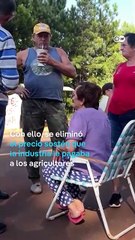 Hay crisis de la yerba mate en Argentina