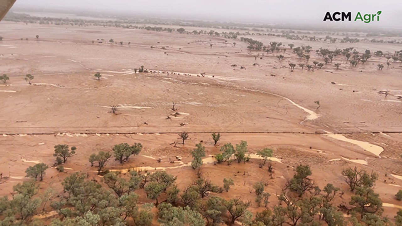 Exclusion fencing damage at Bunginderry Station