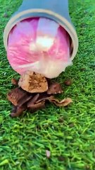 Uncomplicated ways to fix plastic pipes and avoid leaks!🤫