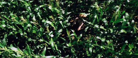 Noapte buna, mami! | movie | 2015 | Official Trailer