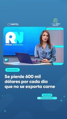 Se pierde 600 mil dólares por cada día que no se exporta carne