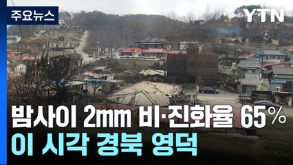 밤사이 2㎜ 비·진화율 65％...이 시각 경북 영덕 / YTN