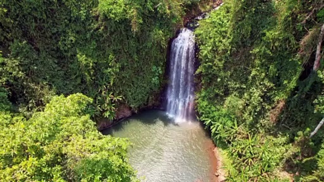 Rivers and Waterfalls in the Heart of the Jungle