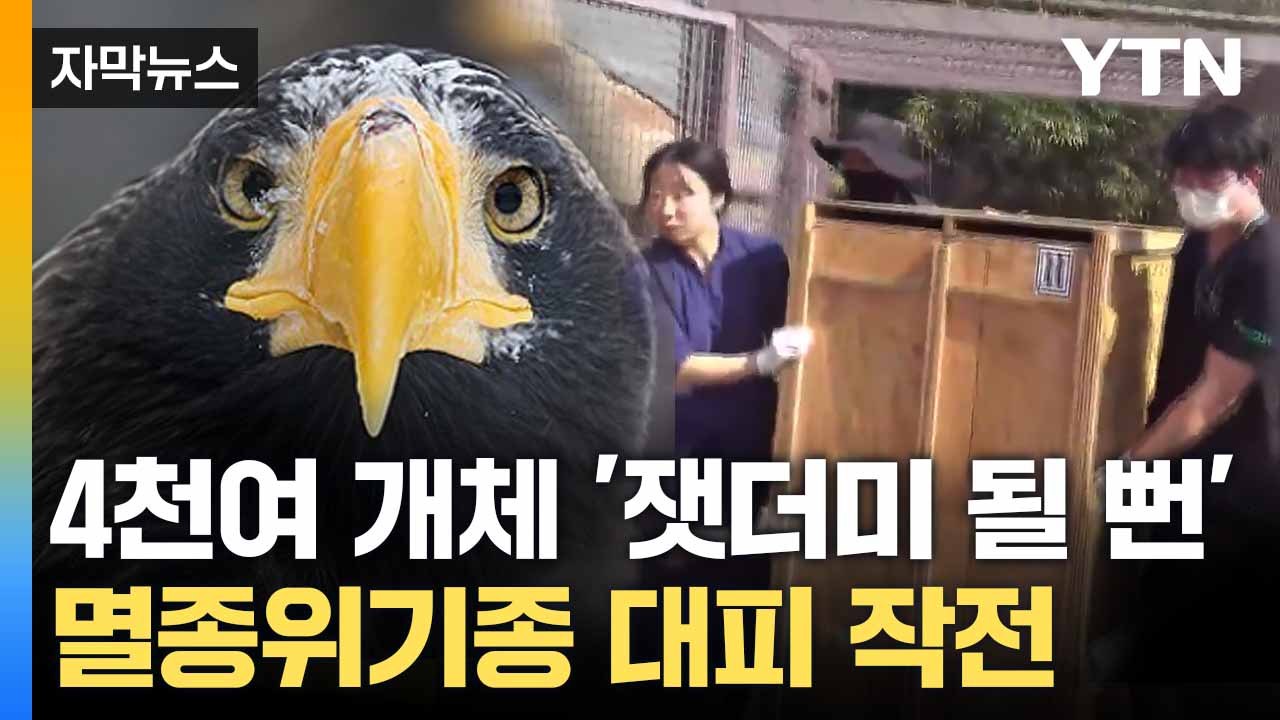 [자막뉴스] 멸종위기종 '산불 코앞에'... 전례 없던 대피 작전 / YTN