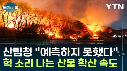 산림청도 예상 못 했다...자동차로 시속 60km 달리는 수준 [Y녹취록] / YTN