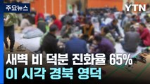 새벽 2㎜ 비 덕분 진화율 65％...이 시각 경북 영덕 / YTN