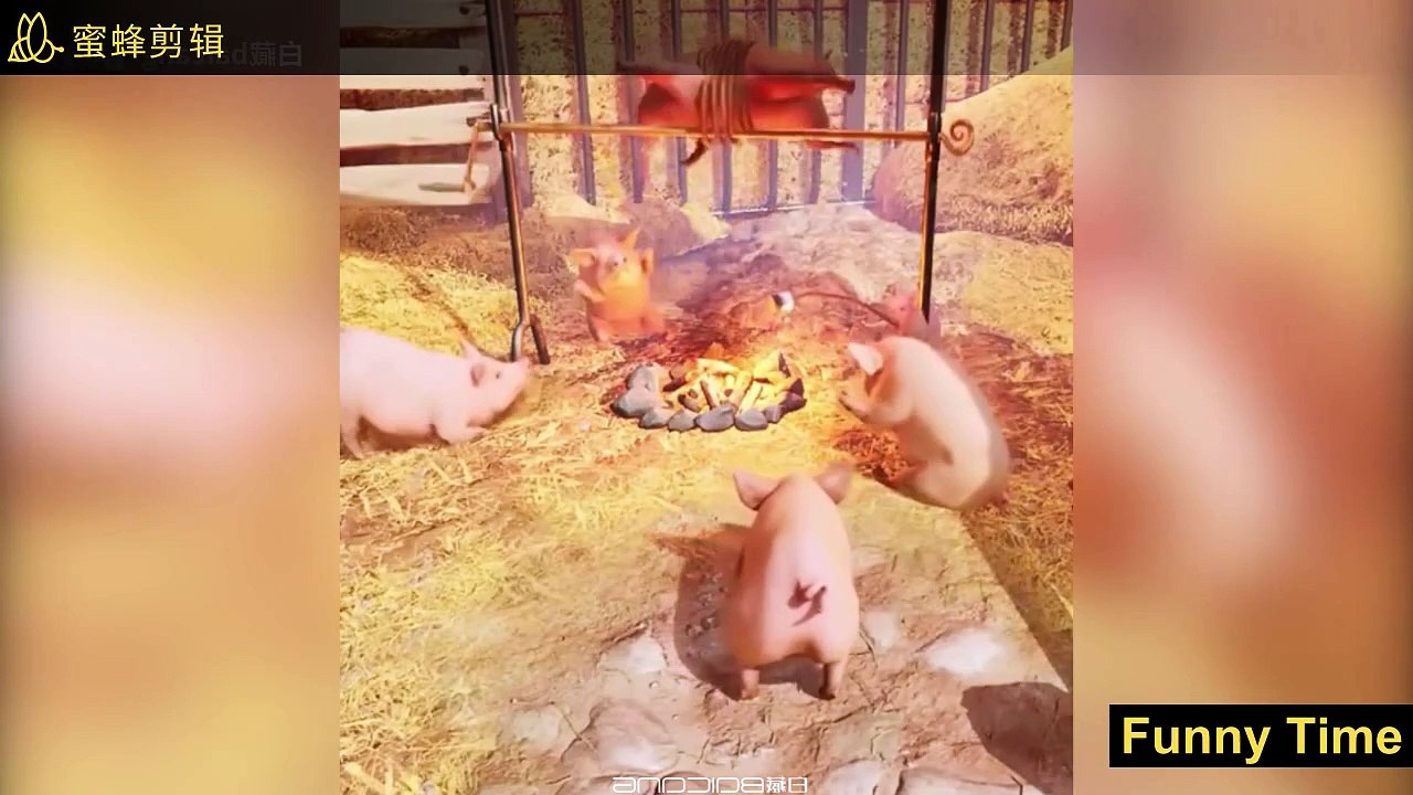 Funny Mistakes Video Collection05
