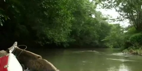 Subadministradora de la ACP da detalles sobre Río Indio