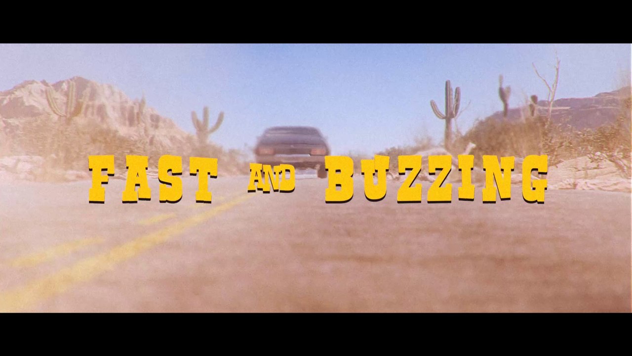 "Fast & Buzzing" (2023) - court-métrage d'animation 3D
