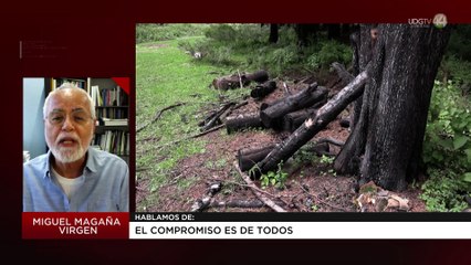 El compromiso es de todos | Miguel Magaña