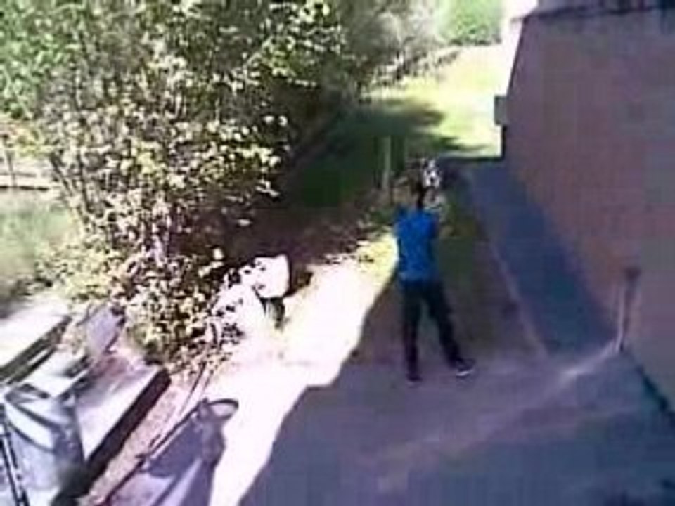 Vidéo