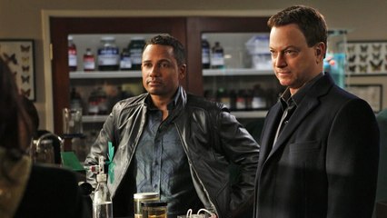 Les experts : Manhattan