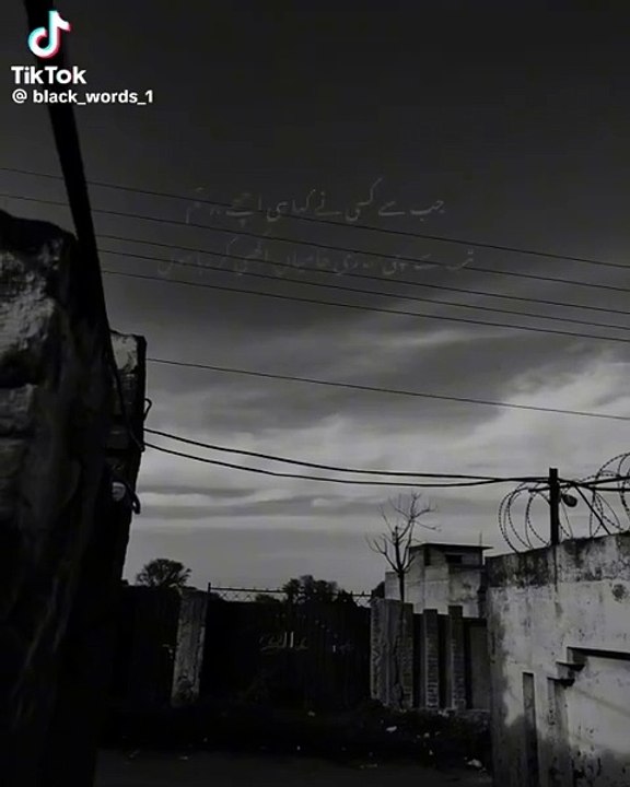 VID-20250326-WA0021
