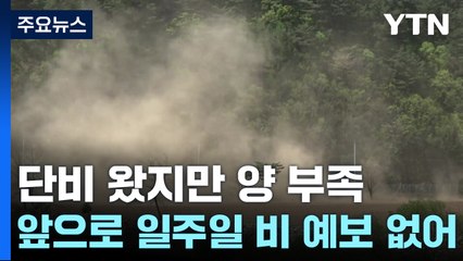 [날씨] 오늘 오후 경북 동해안에 비..."오늘 산불 진화 분수령" / YTN