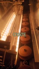 628mm 230v 2300w SK15 Infrared Heating Tubes Quartz Infrared Heat Lamps for  Bottle Blowing Machines