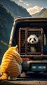 Cat😺 and Panda🐼 Story... By AI CATS STORY.