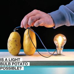 How to make a potato light bulb? 💡🥔