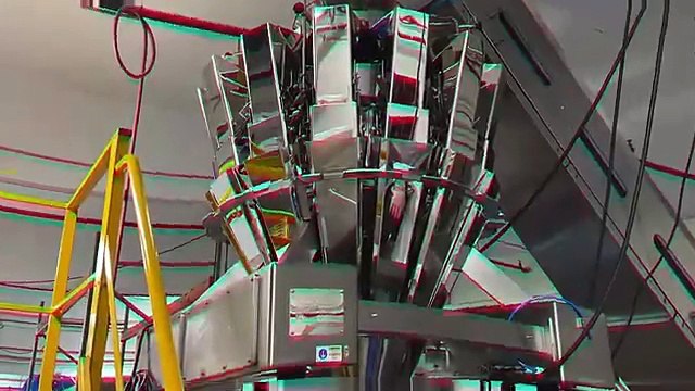 High Speed & Accuracy of COOKIE Packaging using Automated Combination Weigher Scale and VFFS Bagger Machine - High Tek USA