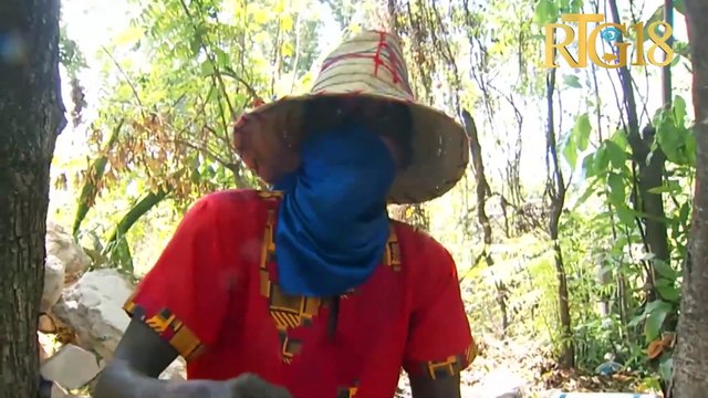 Lapolis kraze manifestasyon popilasyon Canapé-Vert a