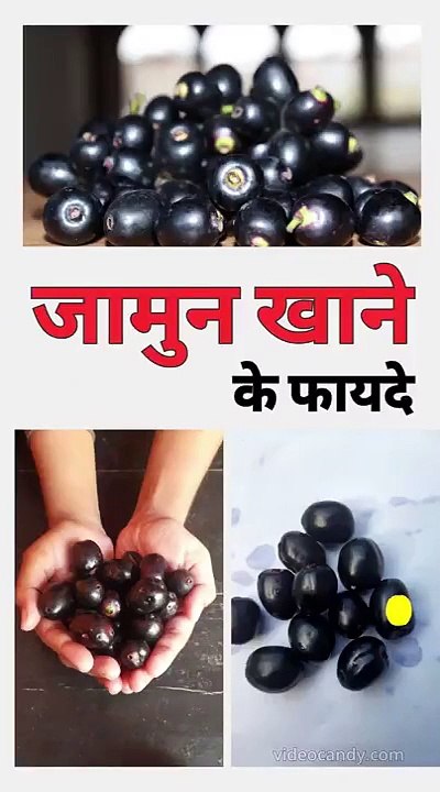 Benefits Of Eating Java Plum