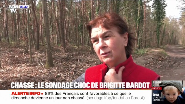 62% des Français déclarent ne pas se sentir en sécurité en période de chasse, selon un sondage commandé par la Fondation Brigitte Bardot