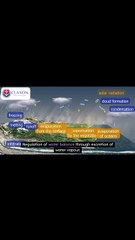 ✅ Respiratory System Explained | How Lungs Work to Keep You Alive 🌬️