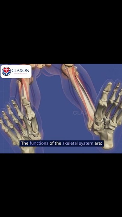 "🦴 Skeletal System Explained | Functions & Structure in 60 Seconds!"