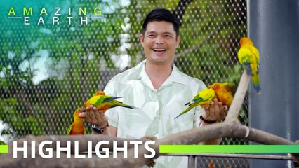 Amazing Earth: Reconnect with nature at Philippine Biodome in Manila!