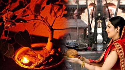 Shani Amavasya Puja Vidhi 2025:शनि अमावस्या पर पीपल और शनि देव की पूजा कैसे करें,कितने दीपक जलाएं ?
