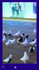 Hey! the TRANSCENDENT How's my coat