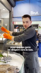 Un jour avec Erwan, apprenti poissonnier