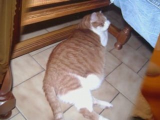 Soirée du 22 avril 2008