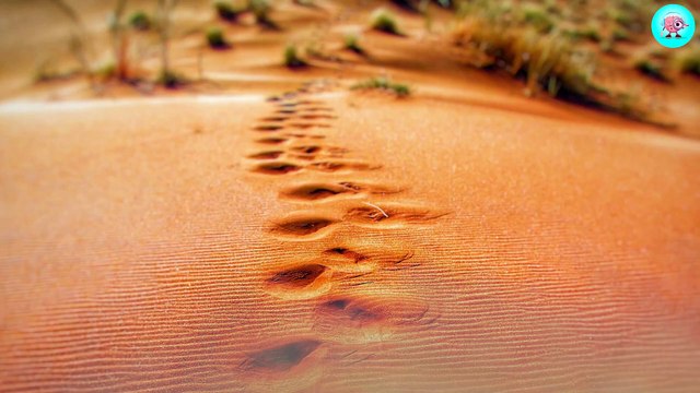 3. ASMR removal of swelling caused by wearing large lip piercings ASMR Treatment Animation