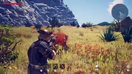 Ce nouveau MMORPG de survie de pirates ressemble à ce que Skull and Bones aurait dû être