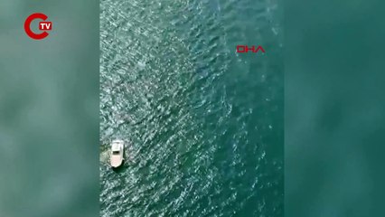İstanbul Boğazı'nda esrarengiz olay! İki saat arayla iki erkek cesedi bulundu