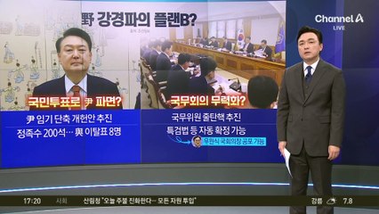 헌재 5 대 3 說에…“국민투표하자”