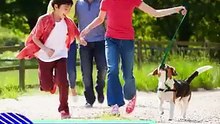 Home Seller Etiquette Tips Home Sellers Should Know - Ronnie Tarabay