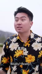 【短 剧】 Flowers Bloom in Spring Again - BossDrama