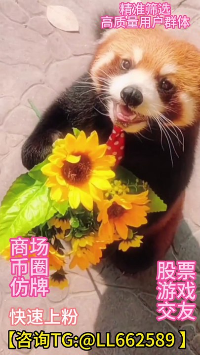 台湾币圈流✈️【咨询TG:@LL662589 】 #台湾股票粉 #台湾游戏粉 #台湾商城粉 #台湾交友粉 #台湾招聘粉 #台湾币圈粉